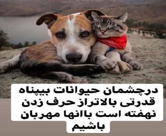 دیواری به کوتاهی دیوار حیوانات