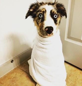  این توصیه ها را جدی بگیرید 