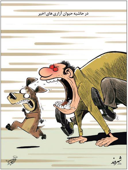 حیوان آزاری 