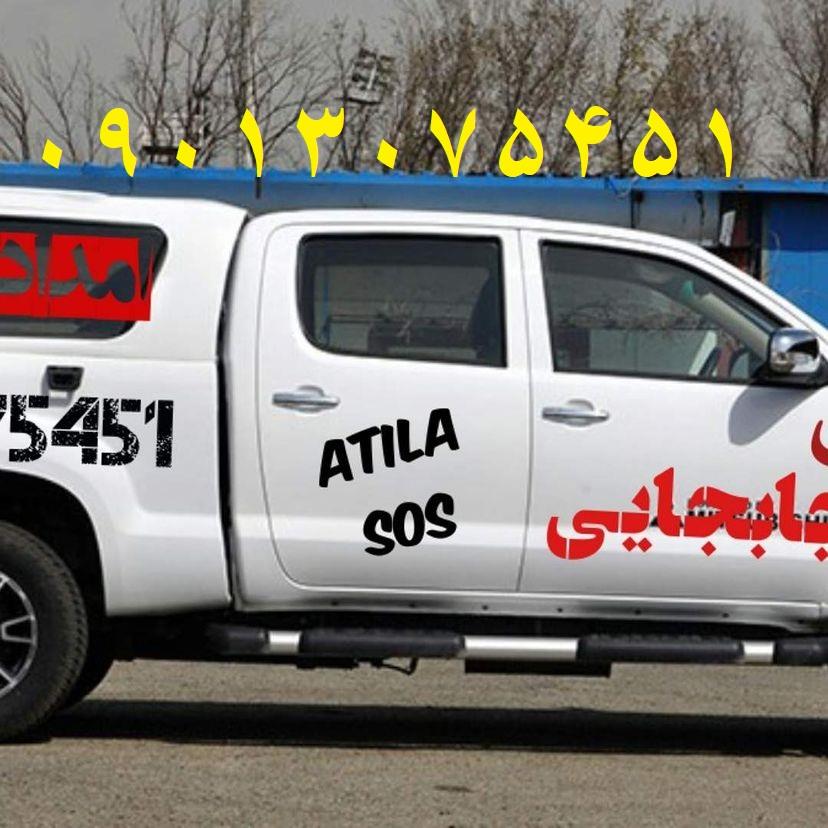 زنده گیری گربه و سگ اتیلا