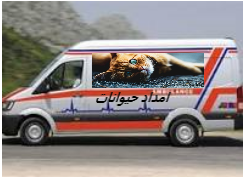 زنده گیری سگ و گربه 