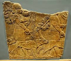   جوامعی وجود داشتند که می‌توانستند سگ‌ها را نگهداری کنند